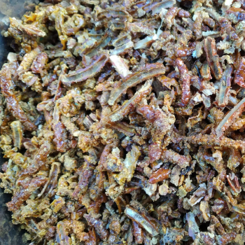 Kit pszczeli (propolis) 50 g